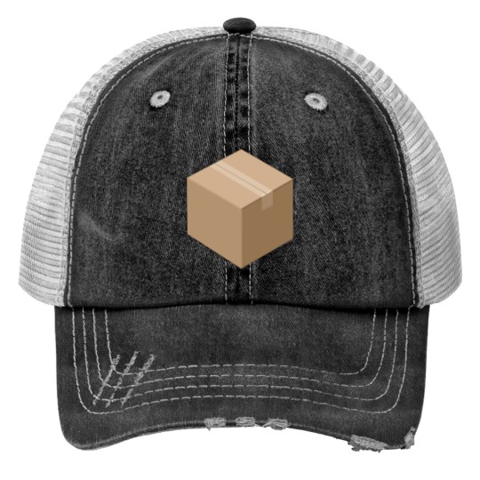 3D Isometric Cardboard Box Print Trucker Hats