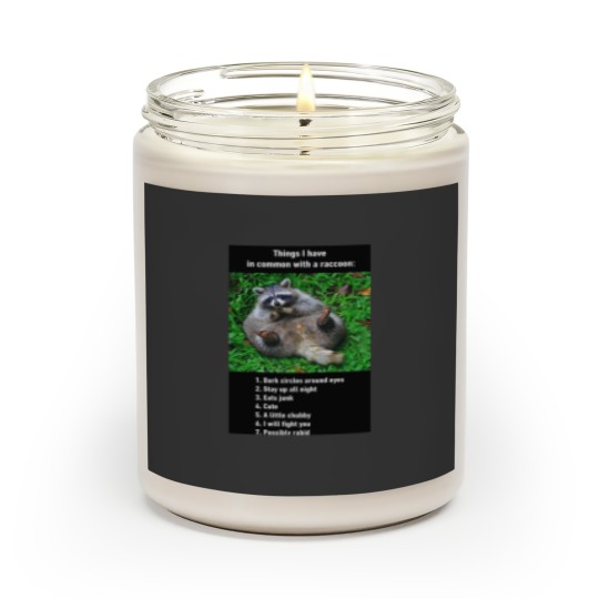 Why I identify 100 with a raccoon) Scented Candles