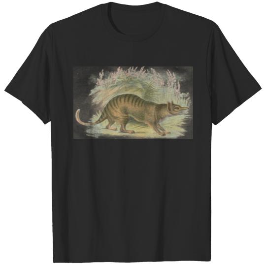 Lydekker - Thylacine - Tasmanian Tiger T-shirt