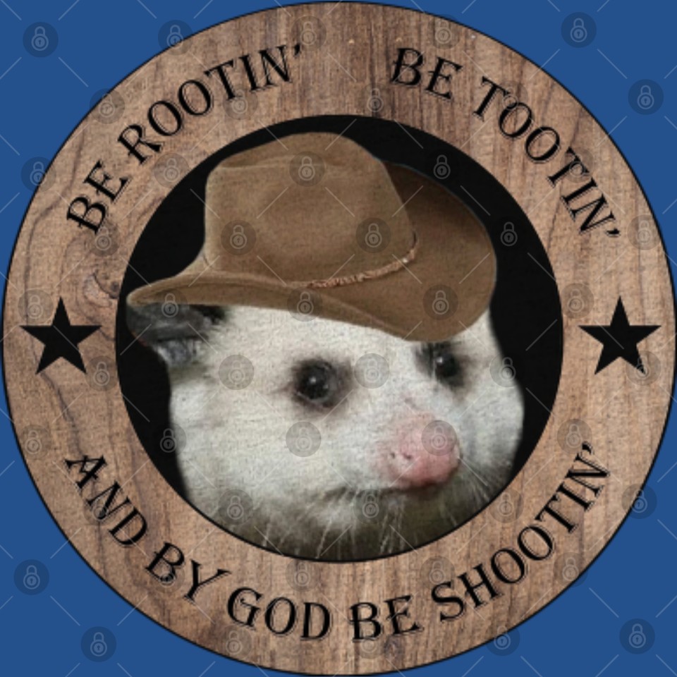 Be Rootin Be Tootin Be Shootin Possum Opossum Cowboy Hat Funny Cute Throw Pillows