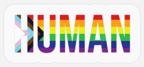 Human LGBTQIA  Flag LGBTQ  Flag Flag Human LGBTQIA Stickers