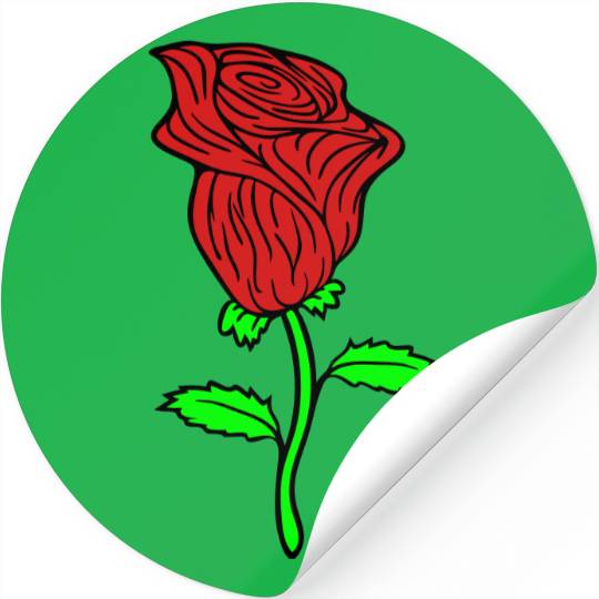 rose thorns red spring blossom gift love symbol