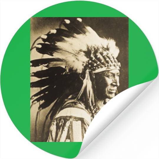 Lakota Sioux Chief White Swan Stickers