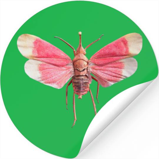 Pink and White Cicada Stickers