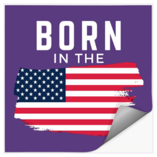 Born In The USA Patriot Patriotism