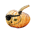 funny Halloween cats pumpkin pirate flap