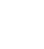 the book was better