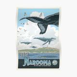 Narooma Premium Matte Vertical Poster