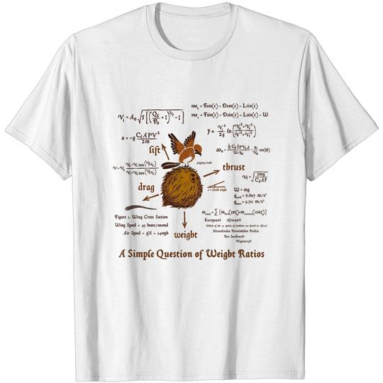 A Simple Answer - Monty Python And The Holy Grail - T-Shirt