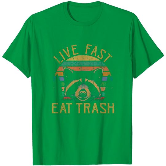 Trash Panda Meme T-Shirt Live Fast Eat Trash Raccoon Retro Vintage Trash Pandas