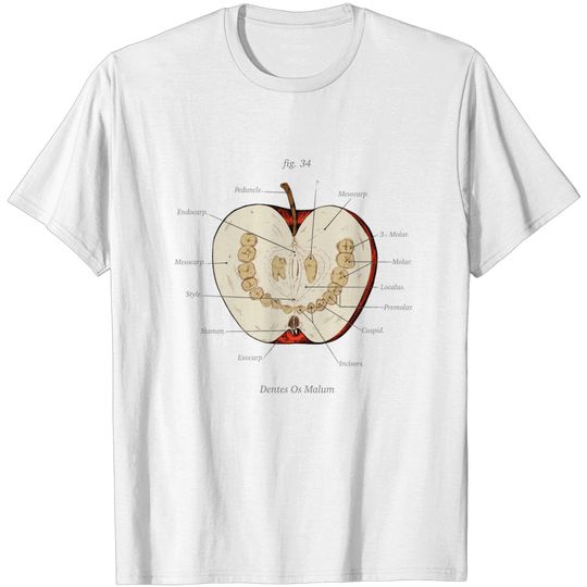 The Magnus Archives - Anatomy Class - Teeth Apple - Podcast Merch - T-Shirt