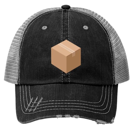 3D Isometric Cardboard Box Trucker Hats