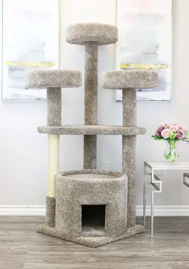 Maine Coon House Cat Condo