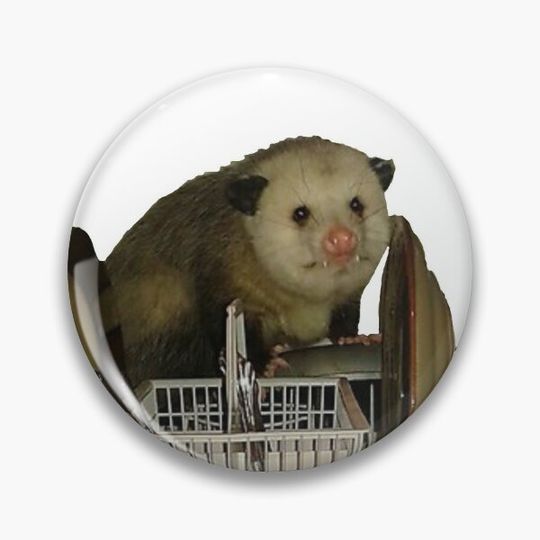 Dishwasher Opossum Meme Pin Button