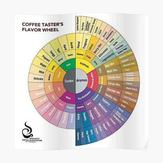 Pop Chart Coffee Taster's Flavor Wheel Premium Matte Vertical Poster