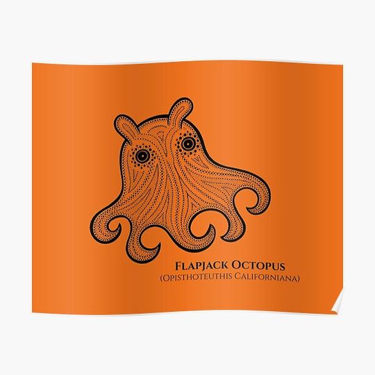 Flapjack Octopus with Common and Latin Names (on orange) Premium Matte Vertical Poster