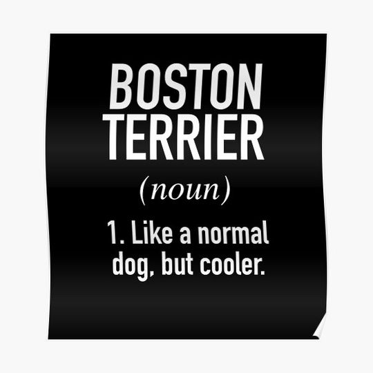 Boston Terrier Dog - Funny Boston Terrier Owner Premium Matte Vertical Poster