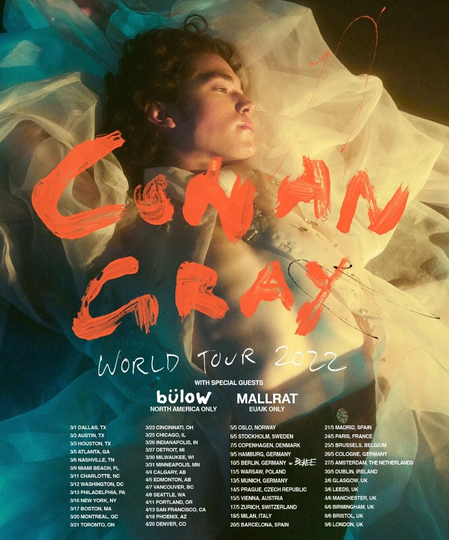 Conan Gray World Tour 2022 Classic  Poster