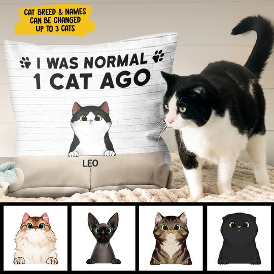 I Was Normal With My Cats - Funny Personalized Cat Pillow