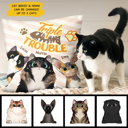 Trouble With My Cats - Funny Personalized Cat Pillow