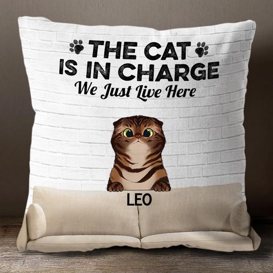 The Cats Are In Charge - Funny Personalized Cat Pillow