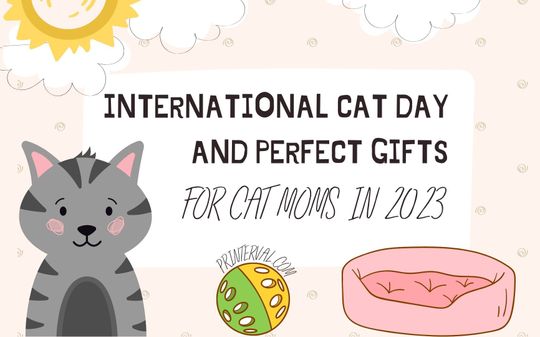 image post International Cat Day And Perfect Gifts For Cat Moms in 2023