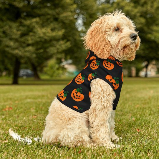 Pumpkin Halloween Shirt For Dogs, Pet Halloween Shirt, Hoodies For Dogs, Halloween Dog Hoodies For Dog Small, Pumpkin Dog Halloween Clothing