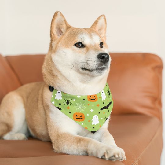 Halloween Pet Bandana Collar
