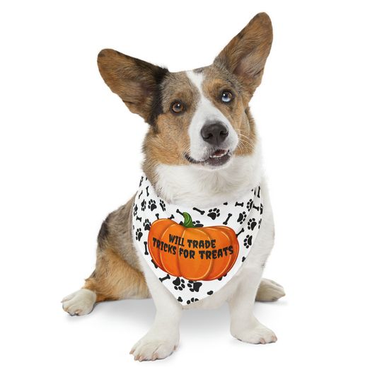 Paw Print Black White, Orange Pumpkin, Will Trade Tricks for Treats Halloween Dog Pet Bandana Collar