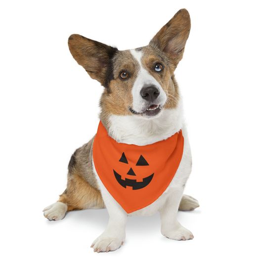 Halloween Jack o Lantern Halloween Dog Bandana Spooky Style for Your Pup!
