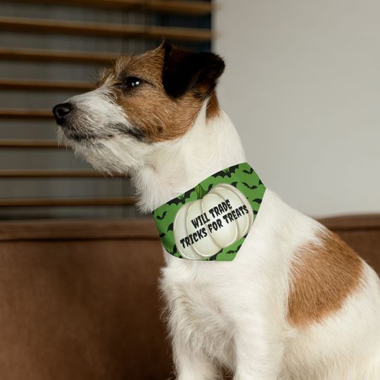 GREEN Will Trade Tricks for Treats Halloween Dog Pet Bandana Collar