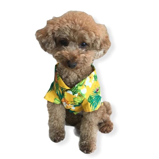 Cute Pineapple Print Dog's Hawaiian Shirt | Yellow Plumeria Flower Print | XS-5XL | Pet Shirts