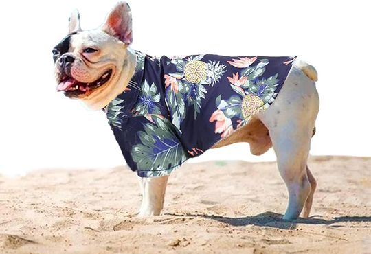 Cute Pineapple Dog Shirts, Hawaiian Dog Shirt, Summer Pet Hawaiian Shirt