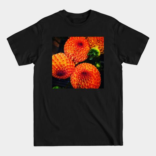 Dahlias, Portland - Dahlias - T-Shirt