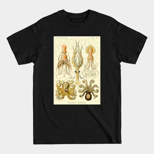 Squid Octopus Marine Biology Science Illustration Cephalopod - Octopus - T-Shirt