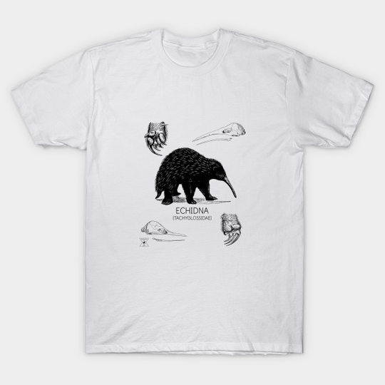 Echidna Study Shirt | Natural History Animal Illustration | Australian Mammal Taxonomy and Species Education - Echidna - T-Shirt