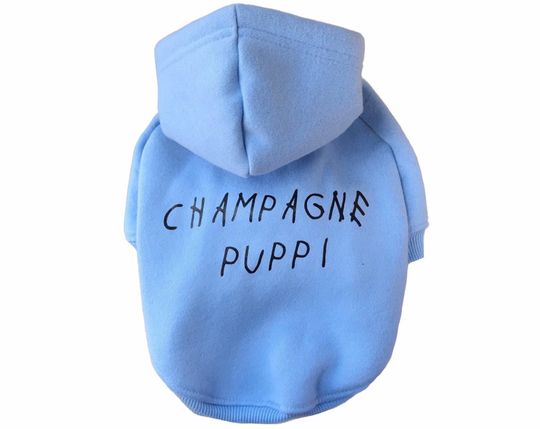 Blue Dog Hoodie || Dog Clothes || Ready to Ship
