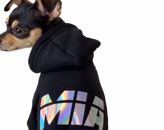 Personalized Dog Hoodie || Holographic || Custom Dog Sweater