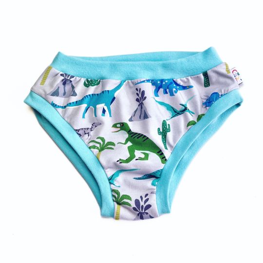 Dinosaur Adult Pants Women's Underwear