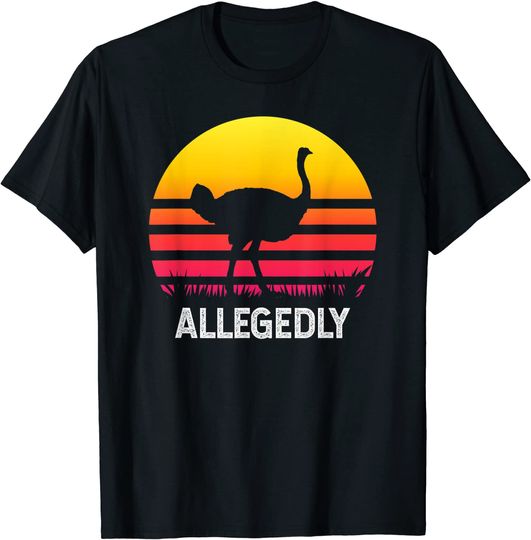 Vintage Allegedly Ostrich Gradient Sunset T-Shirt