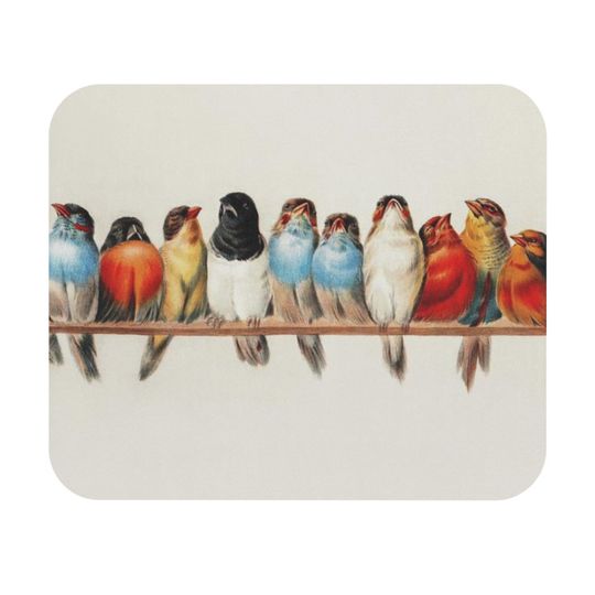 Nature Birds Funny Cute Mouse Pad Office Decor Desk Accessories Gift