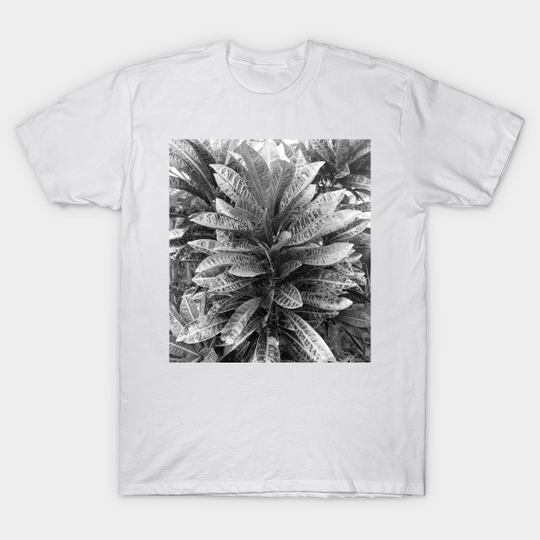 Black and white Crotons - Flower - T-Shirt