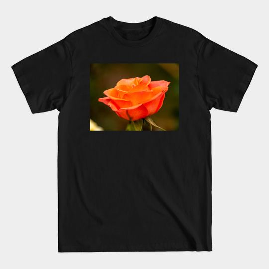 Orange Rose - Rose - T-Shirt