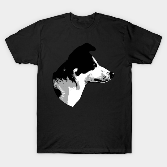 Border Collie Dog - Border Collie Dog - T-Shirt