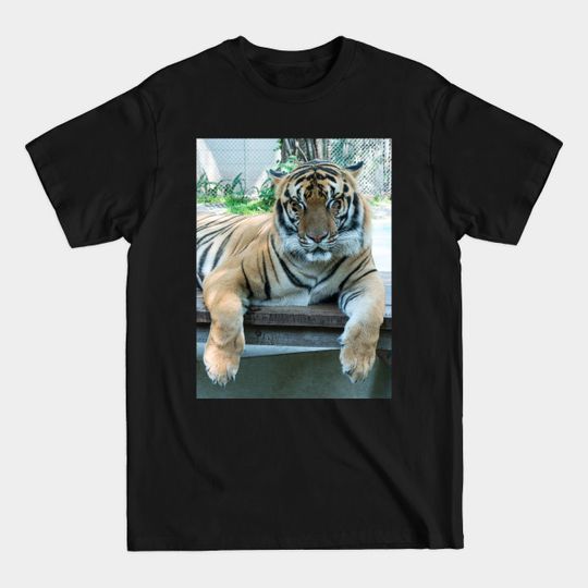 Sleepy Bengal Tiger - Tiger - T-Shirt
