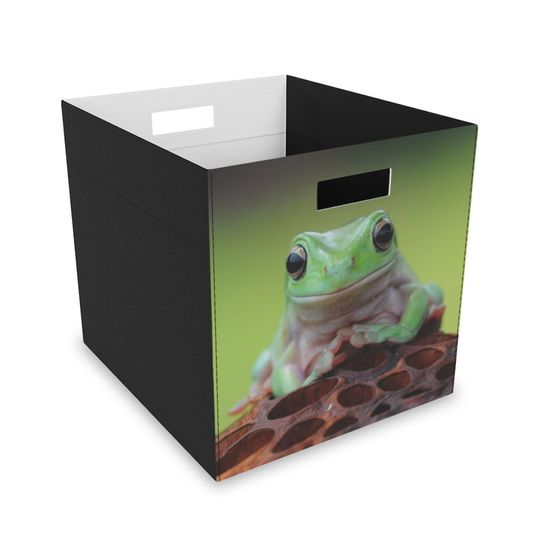 Frog Felt Storage Box