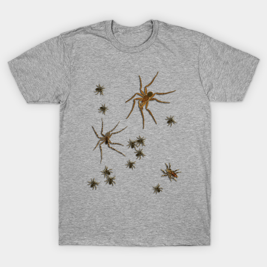 Spiders Arachnid Lovers Gift for Halloween and Beyond - Spiders - T-Shirt