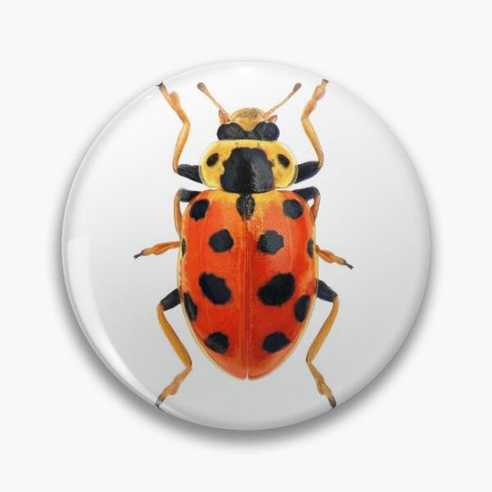 Orange Beetle Pin Button