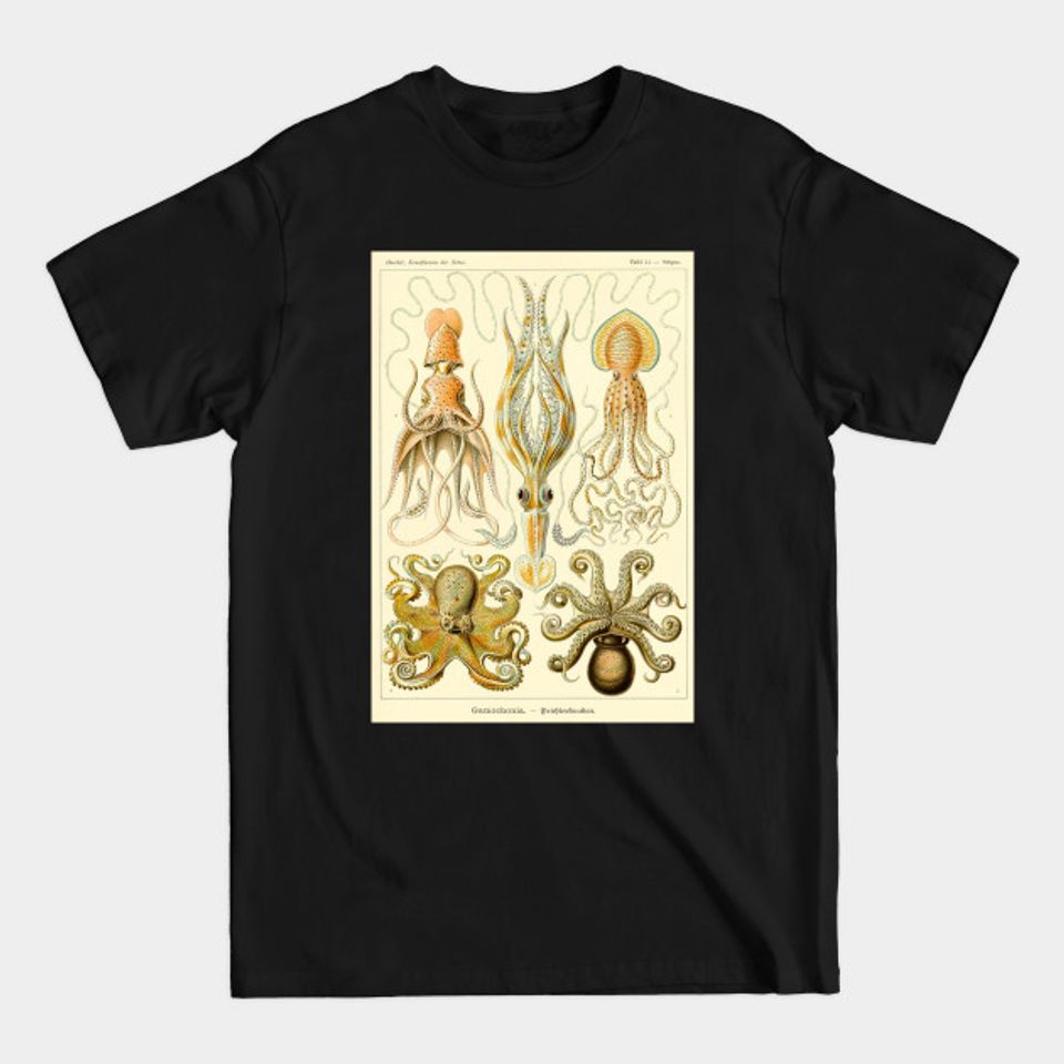Squid Octopus Marine Biology Science Illustration Cephalopod - Octopus - T-Shirt